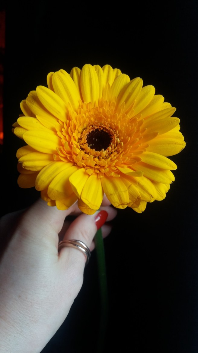 yellow flower